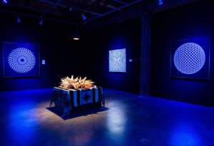 Renascence of the Corn Maidens is an installation in a darkened gallery space. On the black walls are two circular paintings with geometric optical patterns, light in UV light, and a square painting with a moiré pattern. In the center of the room is a table covered with a wool rug, and pile of corn husks.
