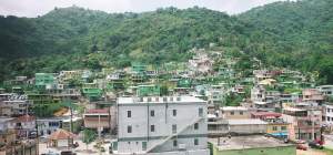 El Cerro, 2003 depicts a Puerto Rican community of houses set on a green hillside, most of the low slung homes are painted different shades of green.