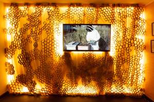 A beekeeper on a screen examines beehives. The screen is surrounded by honeycomb-patterned decor, with warm lighting in the background.