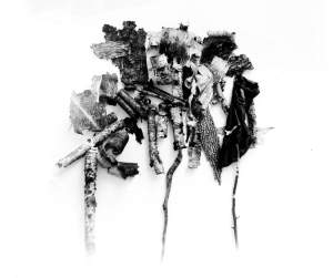 In this black and white photograph titled Birch and Leather, curling strips of both materials are loosely arranged and overlap against a stark white background. Three tendrils or branches extend down from a central, roughly oval-shaped form. The texture of the ringlets of bark vary from light to dark and smooth to rough.