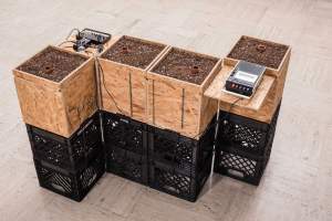 “Broadcast #3” is a sculpture of 4 plywood cubes stacked on top of 2 black milk crates, each filled with soil, and a copper tube protruding from the soil. On a shelf extending from a cube is a cassette player, and a black cable leads to another shelf with a small analog drum machine and other audio equipment with cables.