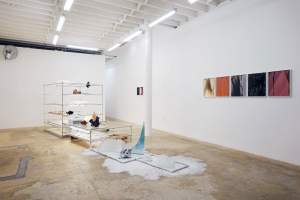 “Badwater” is installed in a white gallery space, a stepped series of open, wide shelves made of silver pipes holding a complex installation of objects, materials and processes that mimic a cycle of flood and drought. Various elements in bulbous forms sit on fluorescent lit shelves, and through various treatments move through a cycle on the shelves to end with white powder accumulated on the floor as the shelves step down to the ground.