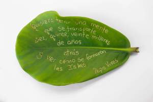 This detail of “Bientevéo” is a large wide leaf with Spanish words incised into the surface “Quisiera tener una mente que se transporte diez, quince, veinte millones de años atrás y ver cómo se formaron las Islas. Papo Vives”.