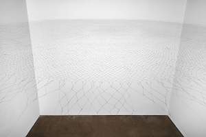 “Web of life” is a net-like structure of finely woven black hair, radiating out from the center like a spider web, and stretched in a flat plane in a square white room.