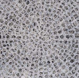 He ho'ike no ke ola is a close-up of a textured surface with concentric small circular patterns, showing the microscopic structure of diatoms.