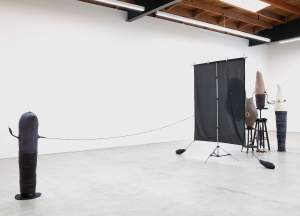 This installation piece is made up of two vase-like forms sitting on tall stools next to a taller, flame-shaped form. These are clustered on the far side of a black screen held in place on a projector frame. A black cord passes from the trio and through a hole in the screen to a fourth, club-shaped form, which sits a short distance away, closer to us.