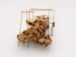 Rounded and rippling fragments of tan-colored gourds are arranged in a roughly triangular form against a loose grid made by wood dowels in this sculptural piece. Short wooden pins poke out of the surfaces of the fragments at irregular intervals.