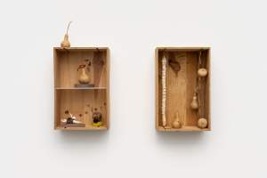 Gourds are arranged in or on two wood cases displayed like shadow boxes. One of the gourds grows around a small glass bottle, and two others are stapled along their surfaces. Others have markings or lines incised or scarred onto the skin.