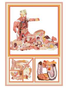 Body Parts is a 3 part illustration. On top, an anatomical diagram of a person’s torso and head shows muscles and open skull, and from the torso a mass of intestines, organs and muscle illustrations spill into a pile. In two lower squares, illustrations of intestines and bisected forms are collaged together in amorphous shapes.