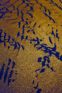 The Frequency of Deep Presence is a field of gold texture, interrupted by staccato indigo blue marks that ripple across the surface.