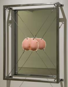 White Assholes is a peach silicone casting of buttocks with anus exposed, suspended on strings within a metal framed mirror