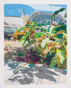 This colored pencil drawing, titled phytolacca americana (092721), shows a spray of greenery growing alongside a gray field, perhaps a sidewalk. The leaves are colored with fields of pure, vibrant color, and they cast nickel-gray shadows. A form beyond the plants might be a parked car.