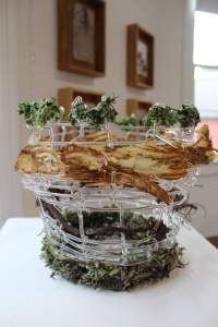 A loosely woven basket is made up of clear glass strands in this sculpture titled Emmenagogues, oxytocics, cervical softeners, progesterone inhibitors and increasers. Mossy greenery wraps around the base, and a branch or vine is woven through the glass across the middle. Brown material, perhaps dried leaves, and tufts of greenery are inserted near the top of the basket.
