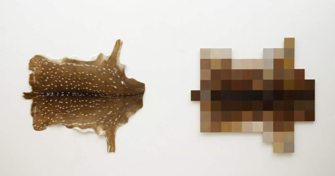 Unconverted/Converted is hung on a white gallery wall. On left, is a stretched, speckled deer hide, and on the right is a similar shape appearing to be a very simplified pixel version of the deer hide.