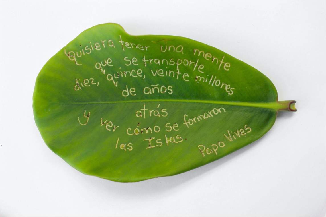 This detail of “Bientevéo” is a large wide leaf with Spanish words incised into the surface “Quisiera tener una mente que se transporte diez, quince, veinte millones de años atrás y ver cómo se formaron las Islas. Papo Vives”.