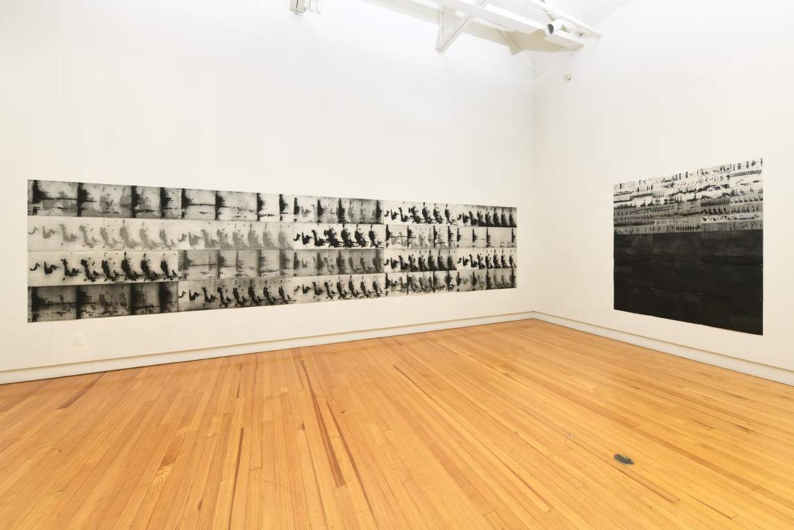 Kāhea is an installation of prints arranged on two gallery walls in two large rectangles composed of gray and white spectrograms mapping the unique calls of endangered and extant Hawaiian forest birds. The prints are arranged from light to dark, graduating down to blackness.