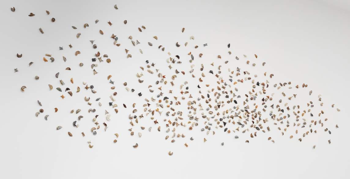 About 300 ceramic, half-moon dumplings are affixed to a white wall in a loose oval. The dumplings are made in shades of gray, brown, orange, and off-white, and they are hung more densely to the right and a little looser to the left like a gathering flock of birds.