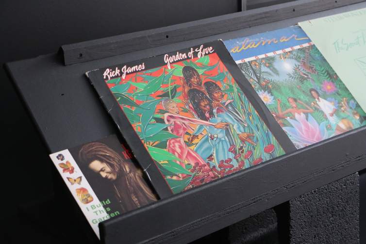 Records, including Rick James Garden of Love, rest on a slanted black shelf.