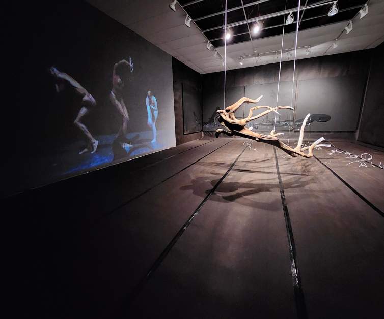 Materteral is a mixed media installation in a dark-walled gallery space. A twisted cedar branch is suspended in the center of the room, and on the left, a video is projected onto a screen with 3 nude contorting figures.
