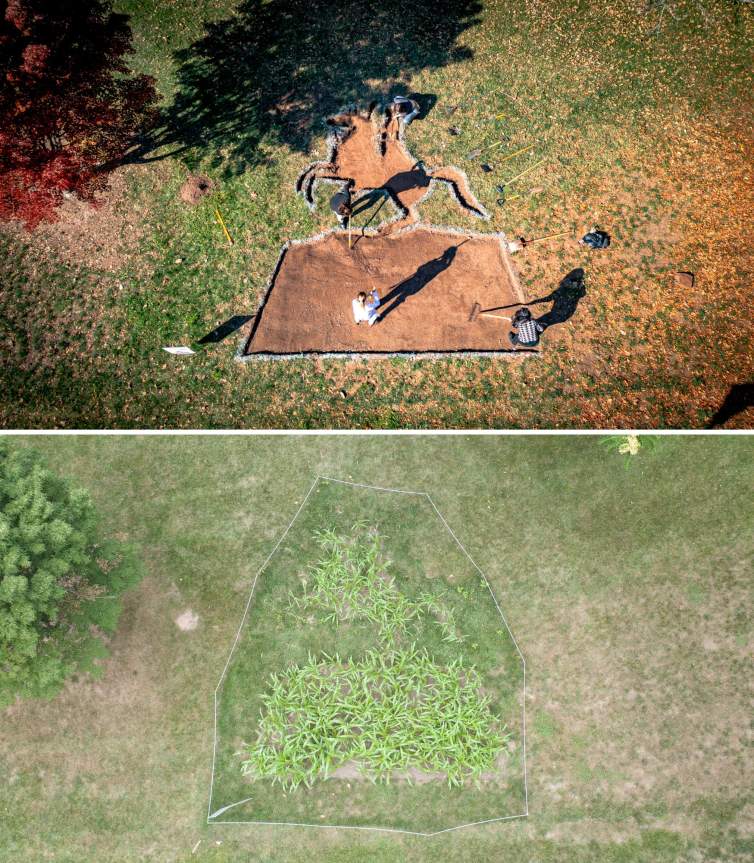 Two views from above of Unshadowed Land. First, a silhouette of a statue of figure on a rearing horse on a plinth is carved out of a lawn, showing the dirt surface, with several people working with gardening tools. Below, in the silhouette area, young corn is growing, in the approximate space of the silhouette.