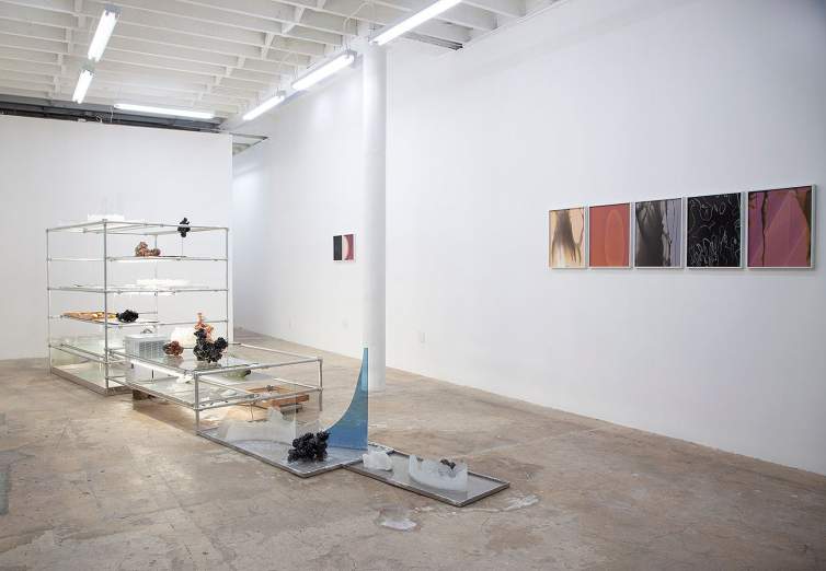 “Badwater” is installed in a white gallery space, a stepped series of open, wide shelves made of silver pipes holding a complex installation of objects, materials and processes that mimic a cycle of flood and drought. Various elements in bulbous forms sit on fluorescent lit shelves, and through various treatments move through a cycle on the shelves to end with white powder accumulated on the floor as the shelves step down to the ground.
