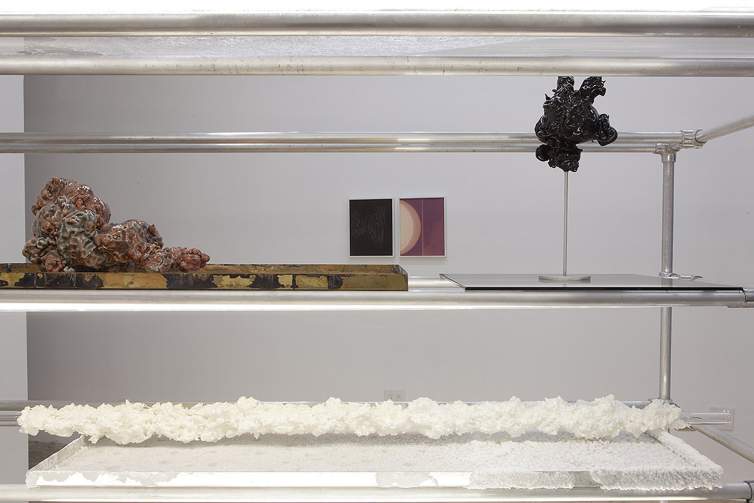 Several abstract sculptures sit on metal shelves in a white gallery space, with two small abstract paintings visible on the wall behind them.