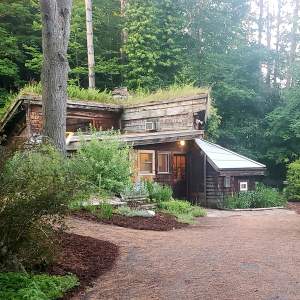 A building with irregular, jutting walls is covered in wood shingles and nestled at the foot of towering trees. Plants appear to grow on some of the roofs.