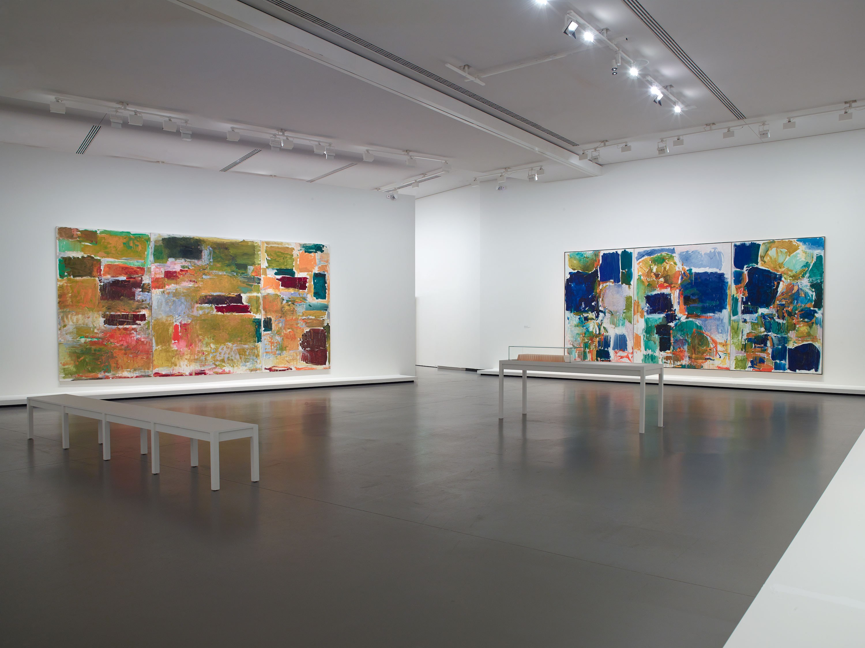 Monet - Mitchell and Joan Mitchell…