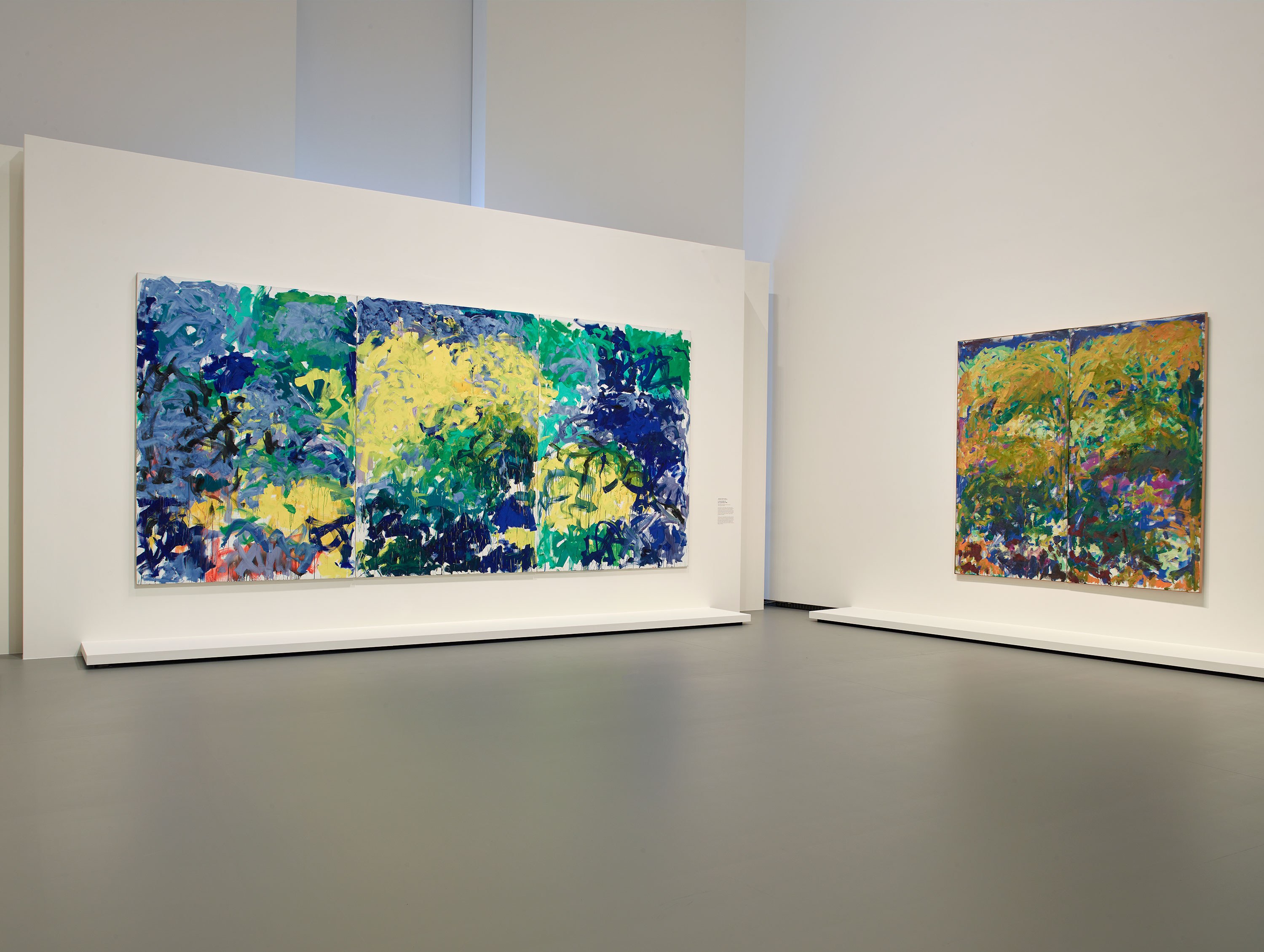 Monet - Mitchell and Joan Mitchell…