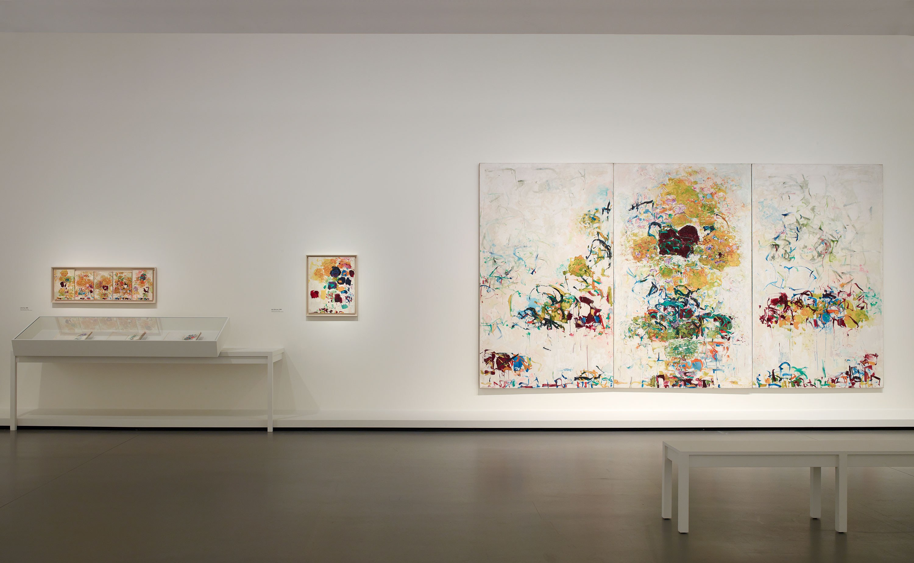 Monet - Mitchell and Joan Mitchell…