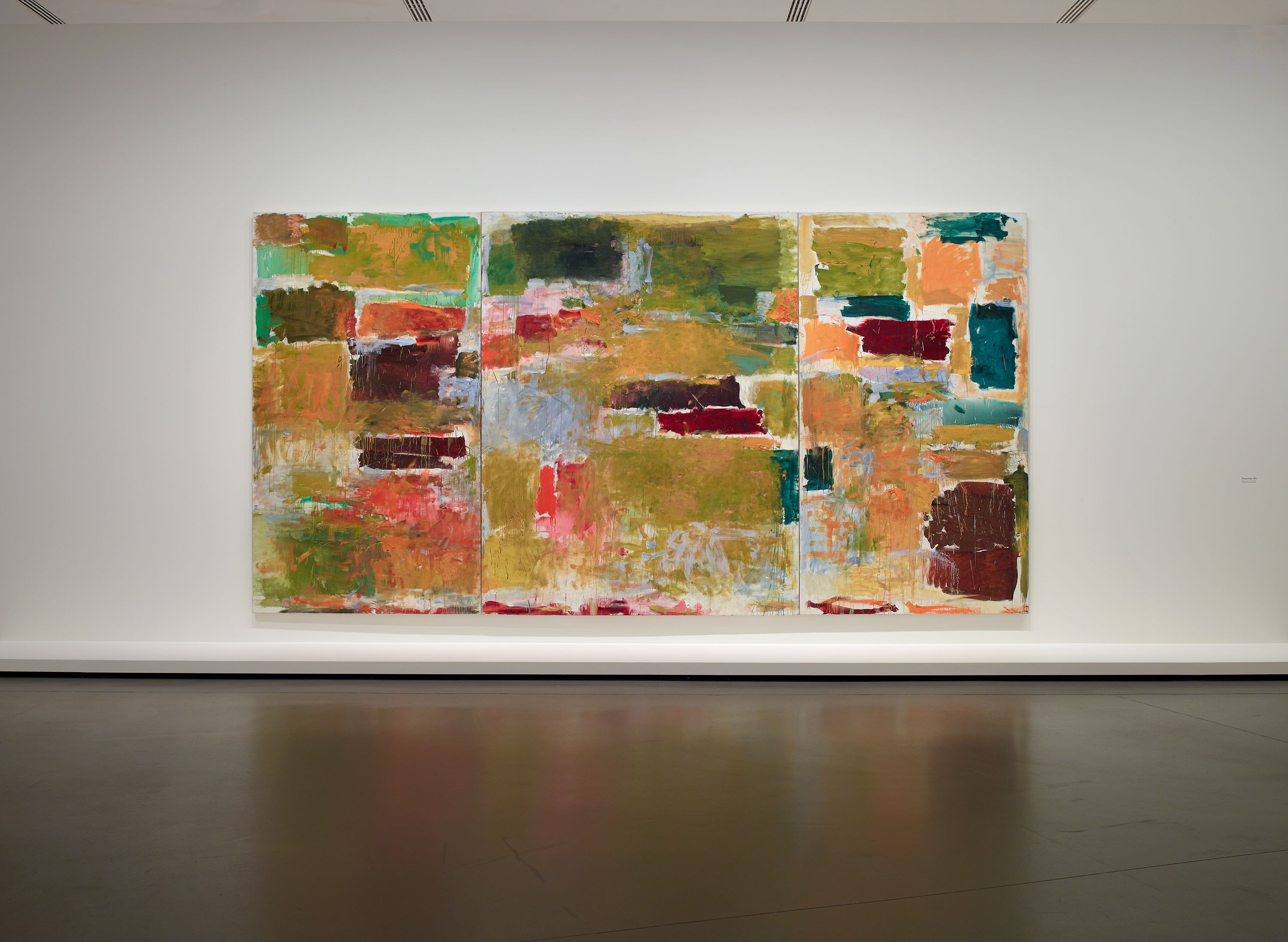 Monet - Mitchell and Joan Mitchell…