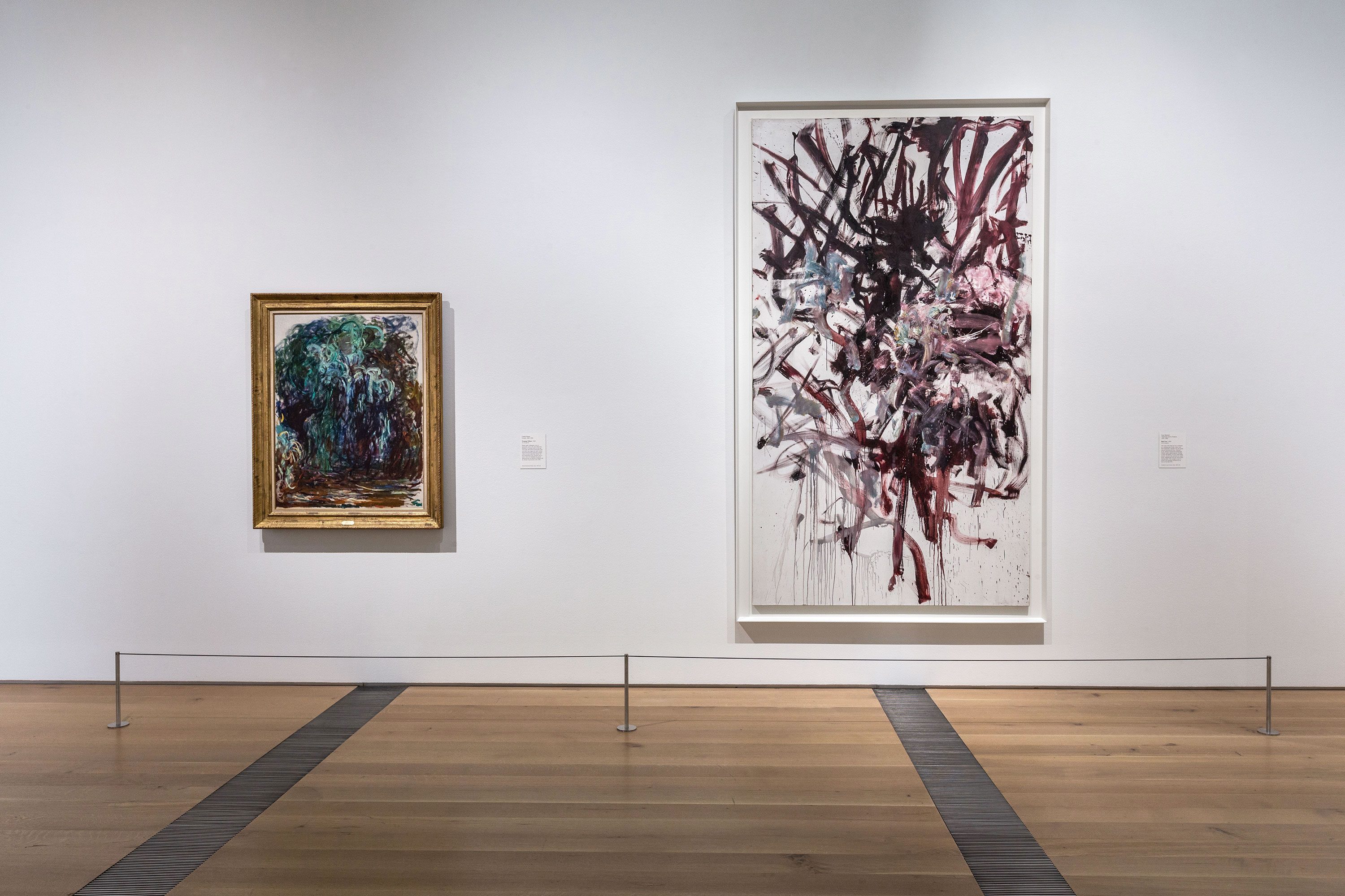 Joan Mitchell reflects Monet's waterlilies in Bois de Boulogne and Barcelo  uses Grisaille in Pantin