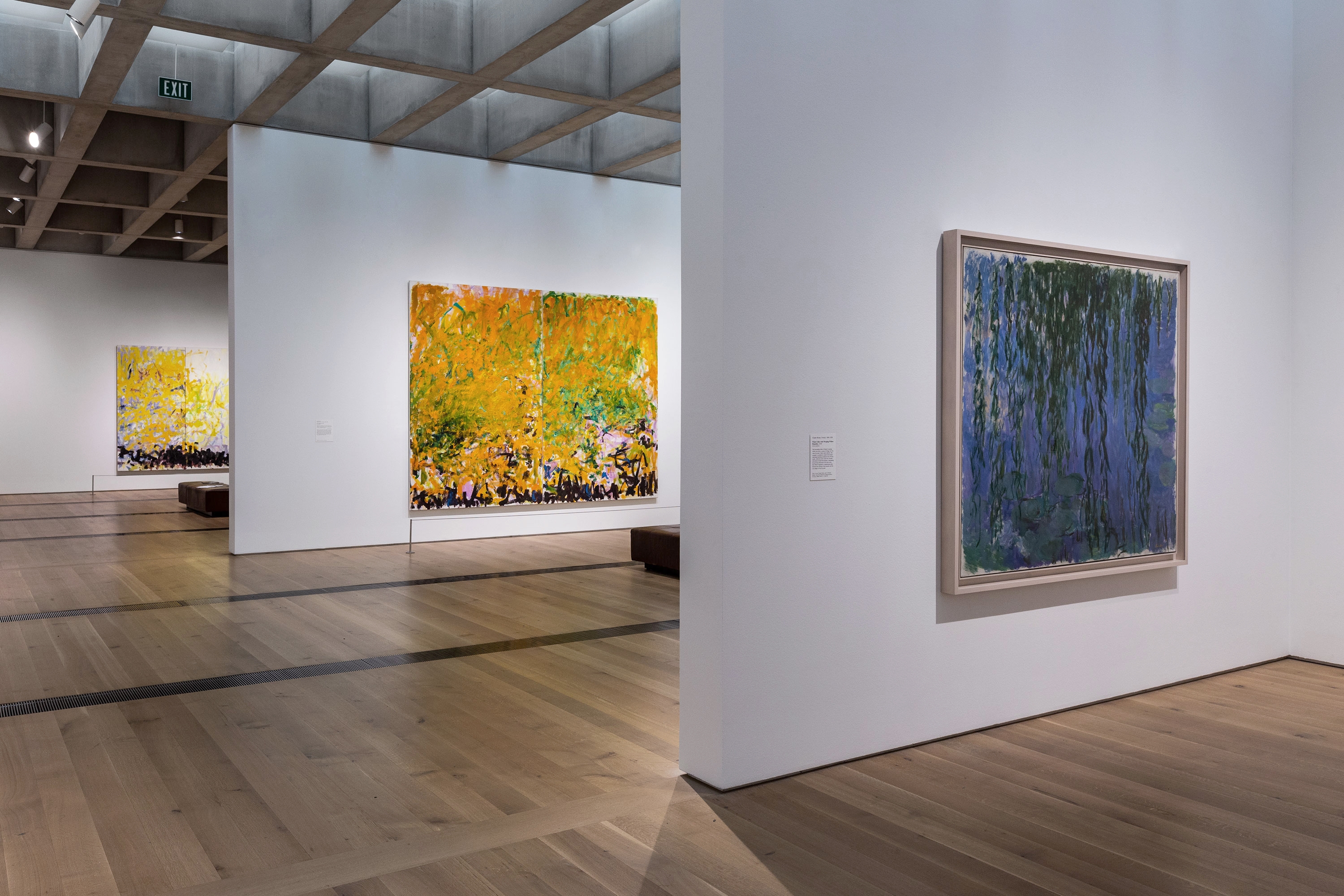 Monet - Mitchell and Joan Mitchell…