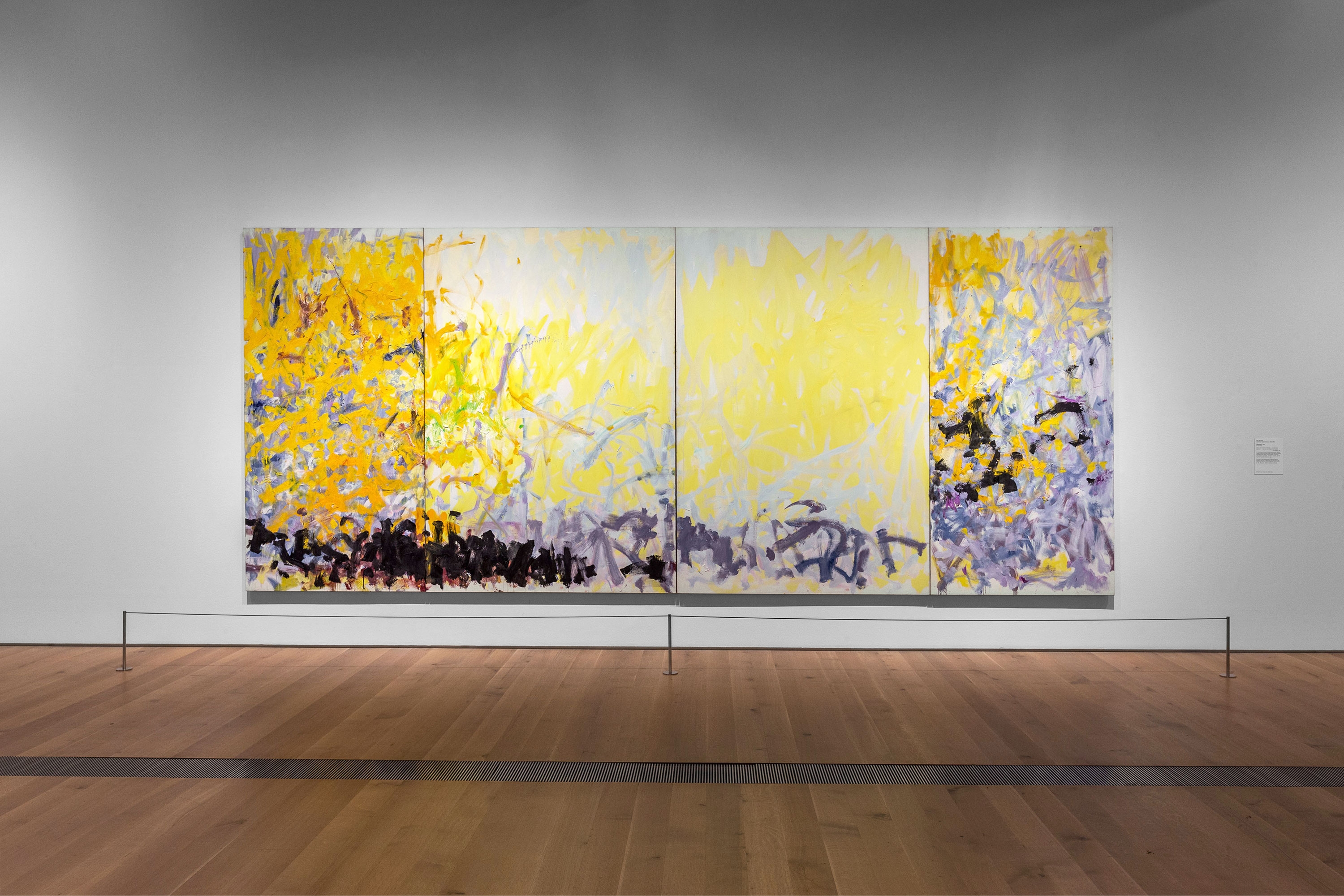 Monet - Mitchell and Joan Mitchell…