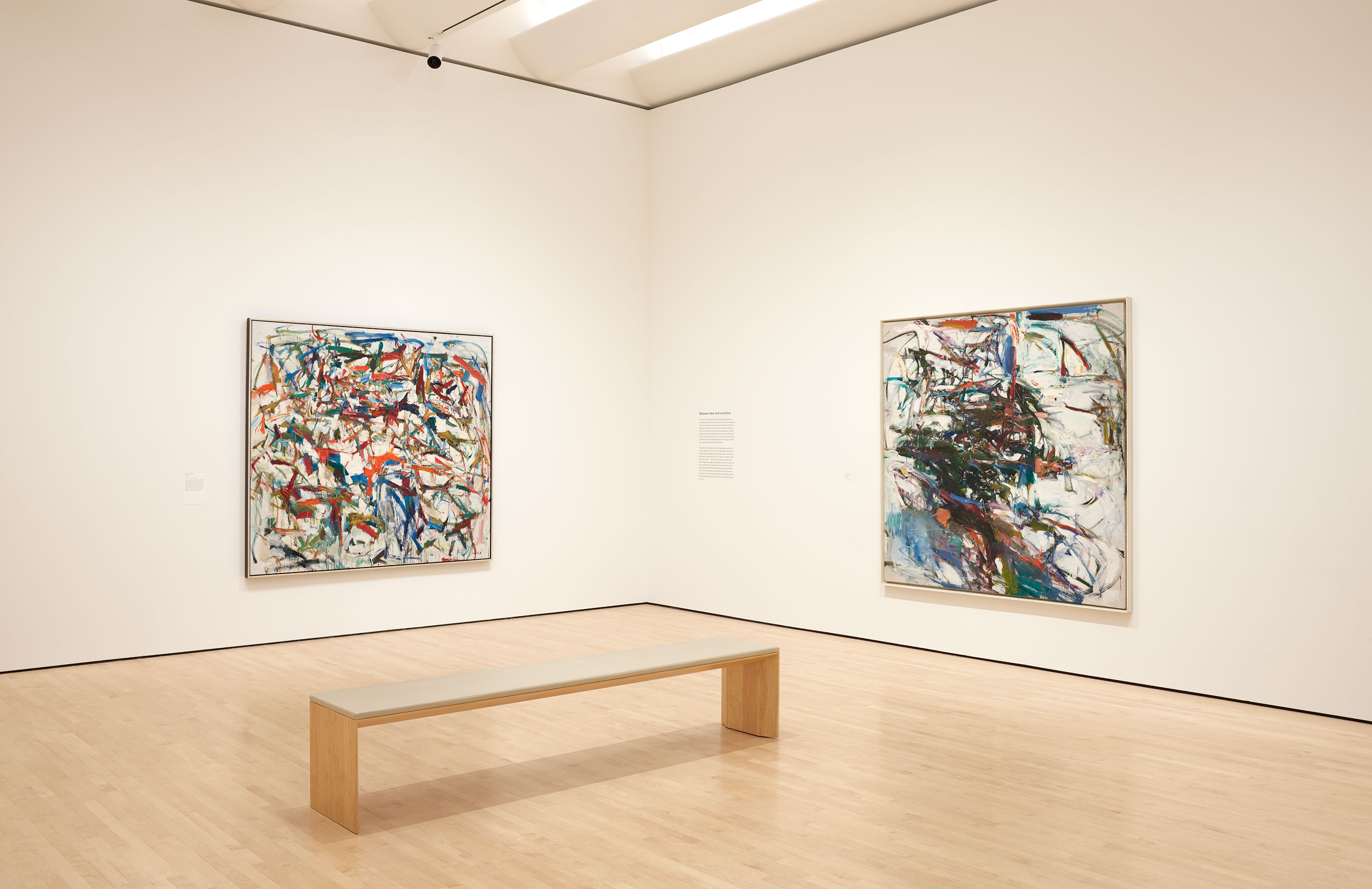 Joan Mitchell Retrospective Joan Mitchell Foundation