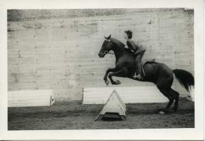 A dark horse leaps over a barrier with a young woman riding